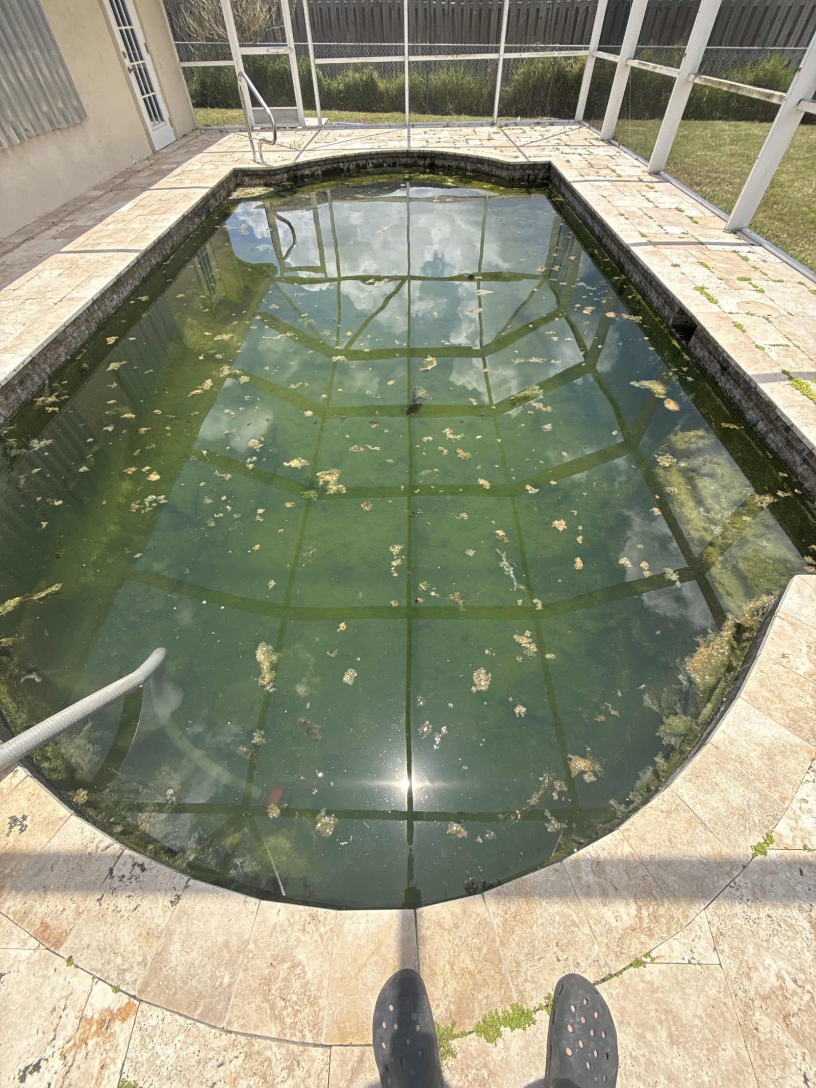 Full pool, six years of neglect