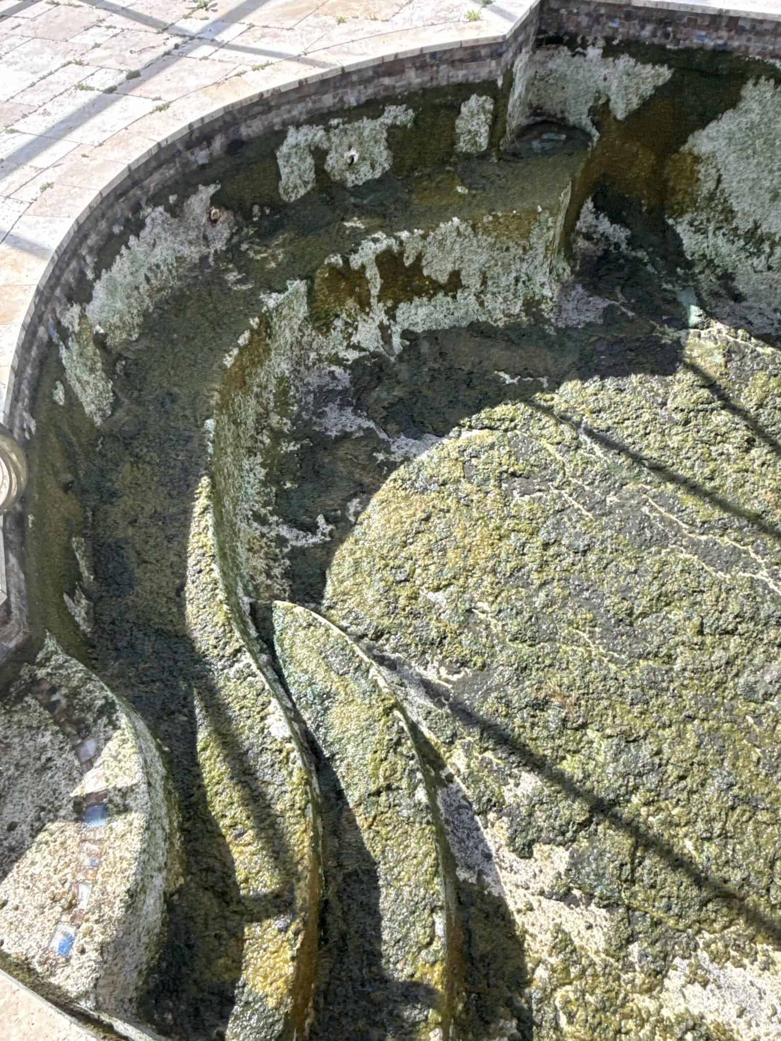 Algae crust exposed on the steps