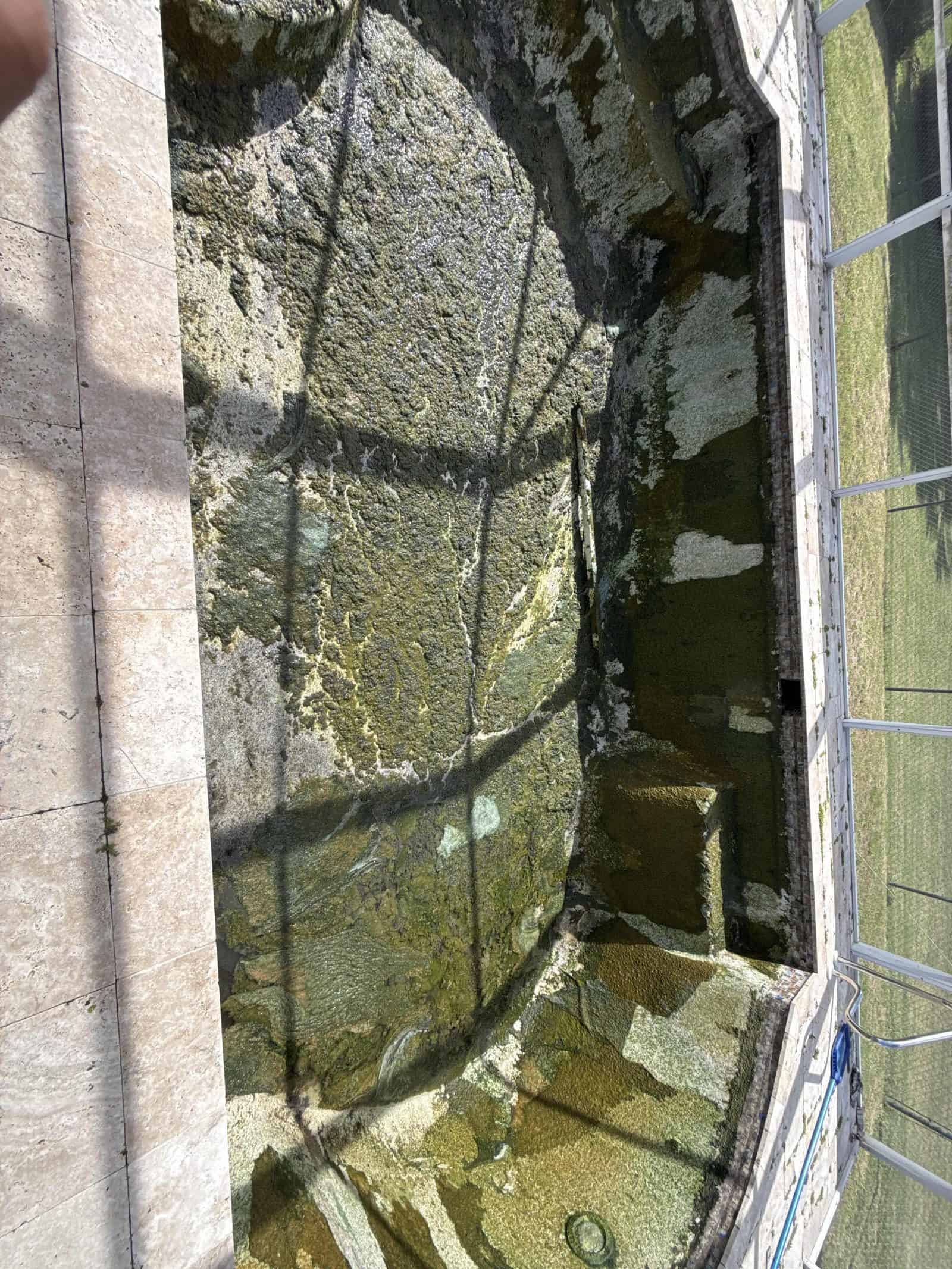 Crusted algae on the pool wall