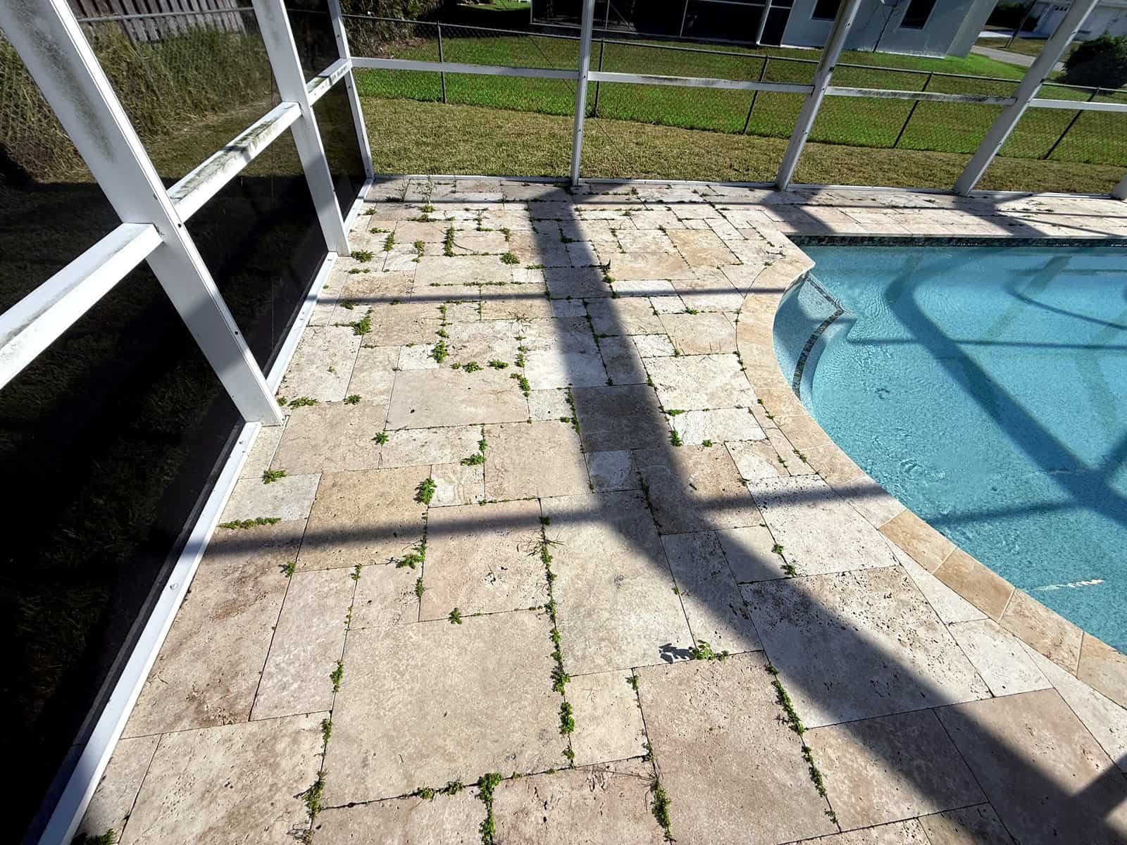 Weeds growing through open joints
