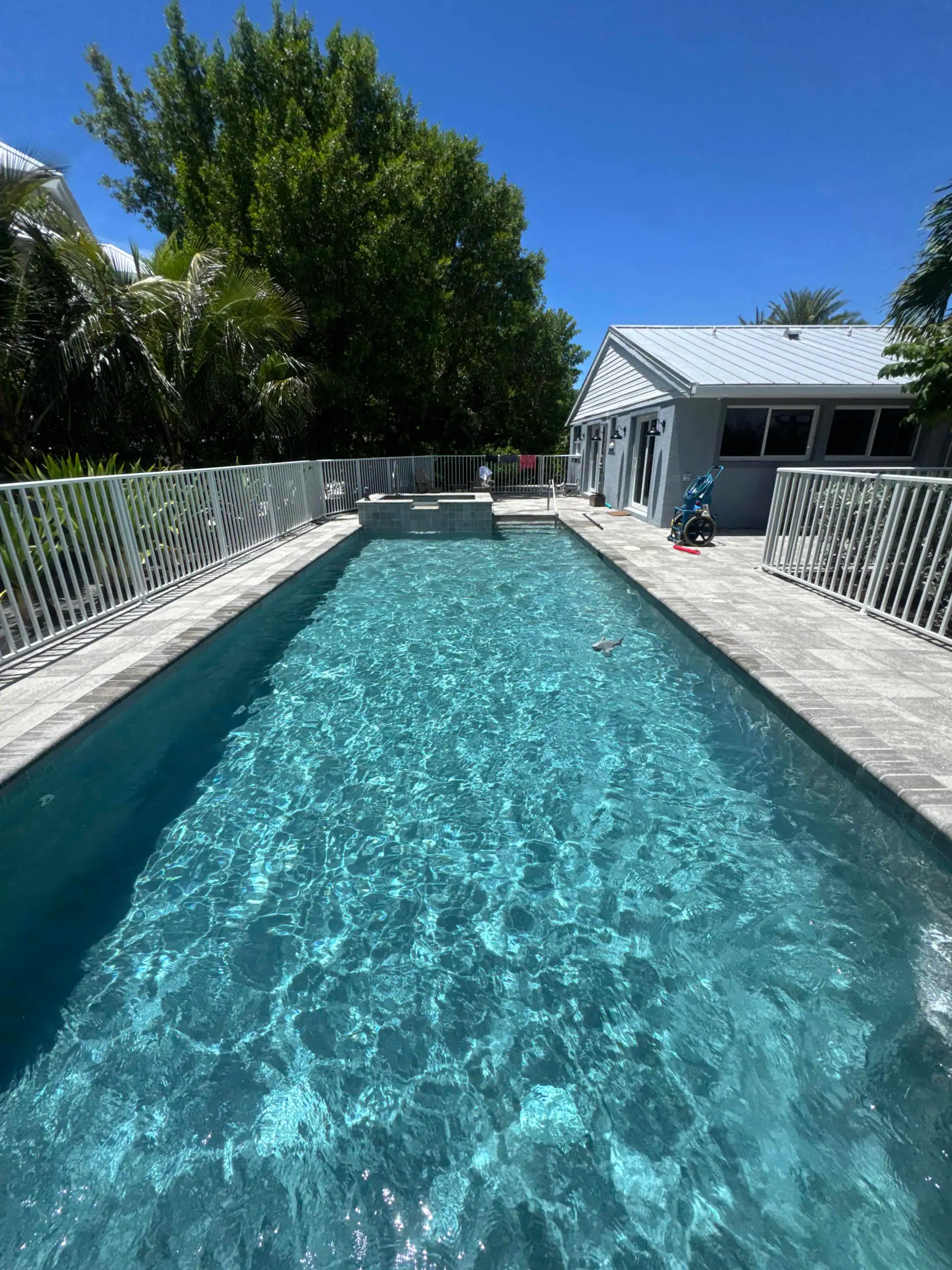 Long sparkling swimming pool after professional maintenance